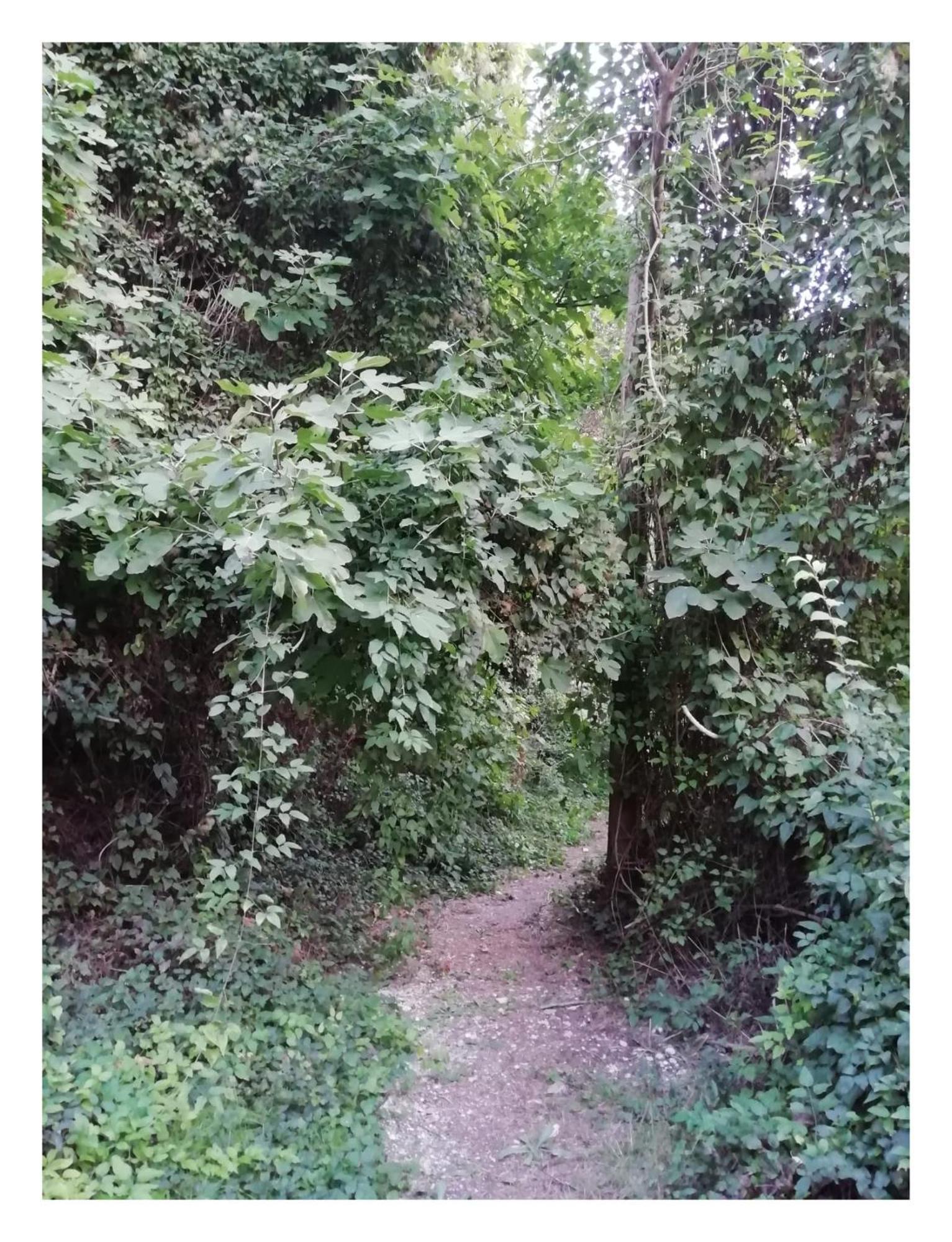 אלקלה דל חוקאר Casa Rural El Abejorro מראה חיצוני תמונה